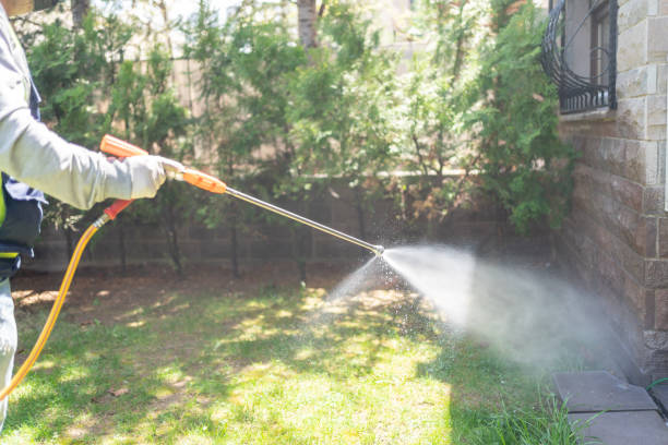 Trusted Onsted, MI Pest Control Experts