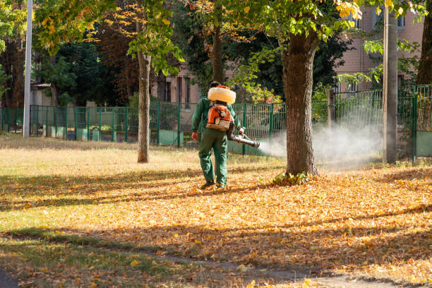 Best Exterminator Services  in Onsted, MI